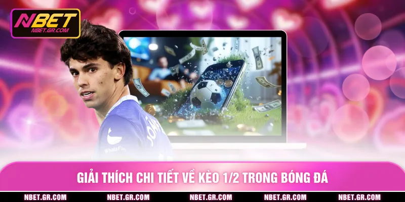 Giải thích chi tiết về kèo 1/2 trong bóng đá