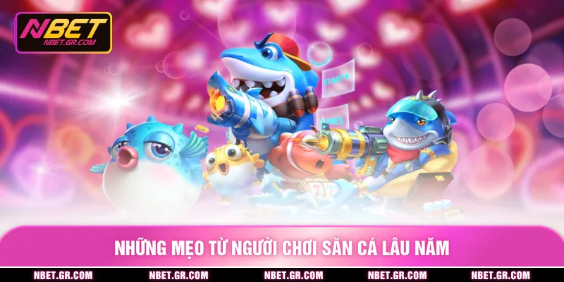 Những mẹo từ người chơi săn cá lâu năm